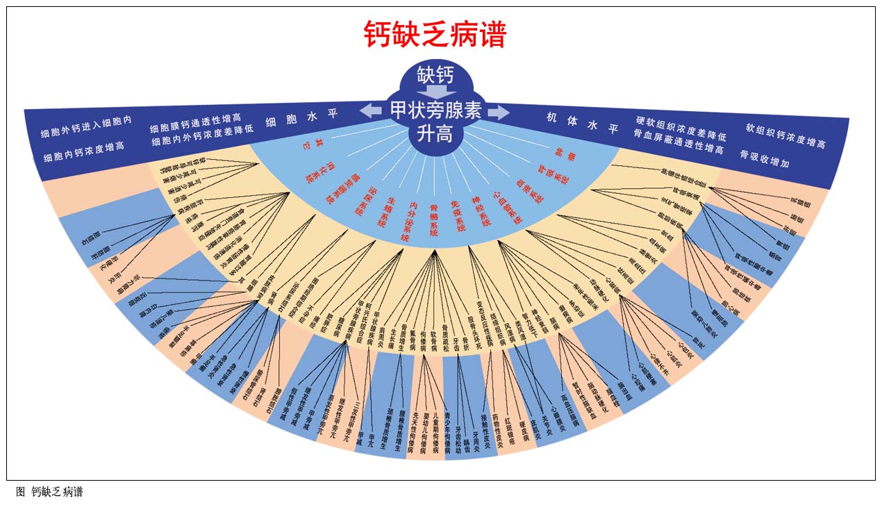 關鍵詞 缺鈣 搜索結果 - 【哈藥人民同泰網上藥店】哈藥集團網上藥房