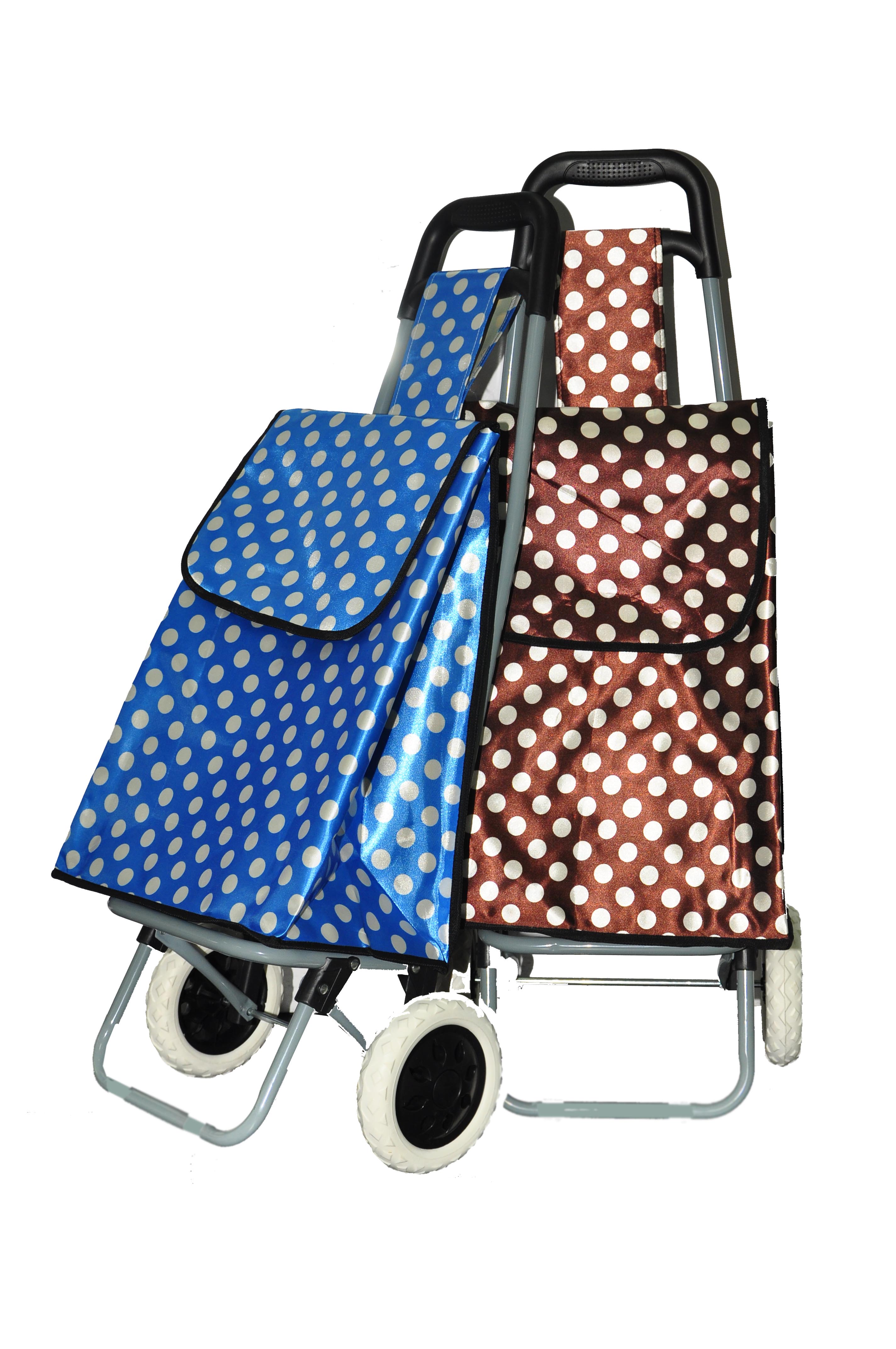 *时尚轻便行李车